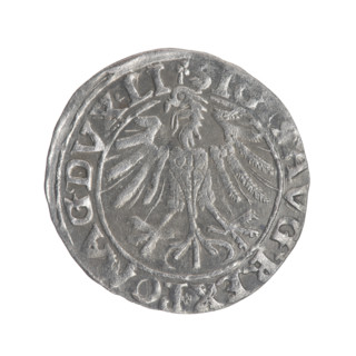 Lithuanian half-grosz, Sigismund II Augustus (King of Poland; 1544–1572). Obverse: Polish Eagle; in
