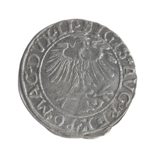 Lithuanian half-grosz, Sigismund II Augustus (King of Poland; 1544–1572); obverse: Polish Eagle
