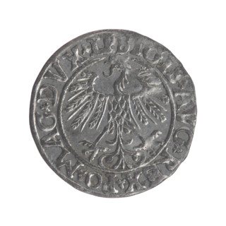 Lithuanian half-grosz, Sigismund II Augustus (King of Poland; 1544–1572). Obverse: Polish Eagle; in