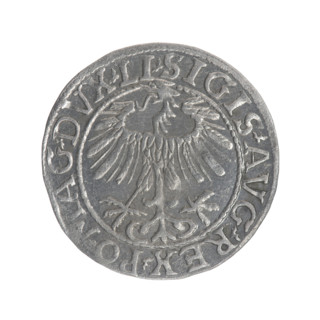 Lithuanian half-grosz, Sigismund II Augustus (King of Poland; 1544–1572). Obverse: Polish Eagle; in