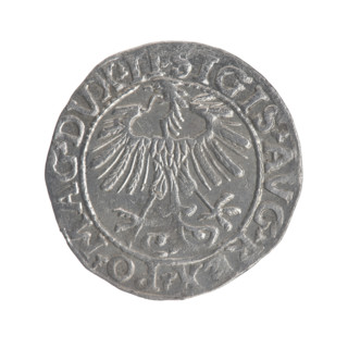 Lithuanian half-grosz, Sigismund II Augustus (King of Poland; 1544–1572). Obverse: Polish Eagle; in