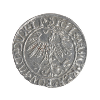 Lithuanian half-grosz, Sigismund II Augustus (King of Poland; 1544–1572). Obverse: Polish Eagle; in