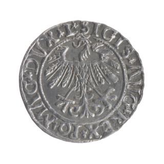 Lithuanian half-grosz, Sigismund II Augustus (King of Poland; 1544–1572). Obverse: Polish Eagle; in