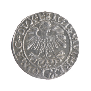 Lithuanian half-grosz of Sigismund II Augustus (King of Poland, 1544–1572). Obverse: Polish eagle;