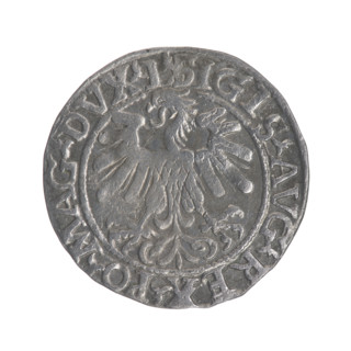 Lithuanian half-grosz, Sigismund II Augustus (King of Poland; 1544–1572); obv.: Polish Eagle, in