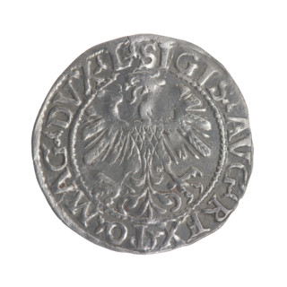 Lithuanian half-grosz, Sigismund II Augustus (King of Poland; 1544–1572). Obverse: Polish Eagle; in