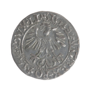 Lithuanian half-grosz, Sigismund II Augustus (King of Poland; 1544–1572). Obverse: Polish eagle; in
