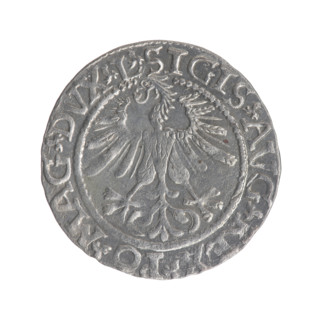 Lithuanian half-grosz, Sigismund II Augustus (King of Poland; 1544–1572). Obverse: Polish eagle; in