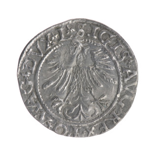 Lithuanian half-grosz, Sigismund II Augustus (King of Poland; 1544–1572). Obverse: Polish Eagle; in