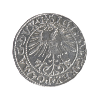 Lithuanian half-grosz, Sigismund II Augustus (King of Poland; 1544–1572). Obverse: Polish Eagle, in