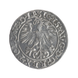 Lithuanian half-grosz, Sigismund II Augustus (King of Poland; 1544–1572). Obverse: Polish Eagle; in