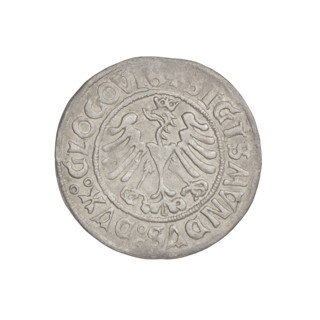Glogów grosz, Sigismund I the Old (King of Poland; 1506–1548), horses, eagles, Pogon (coat of