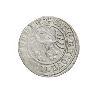 Lithuanian half-grosz of Sigismund I the Old (King of Poland, 1506–1548). Obverse: Pogon