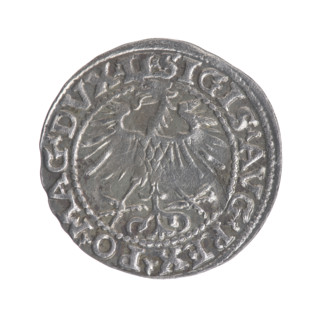 Lithuanian half-grosz, Sigismund II Augustus (King of Poland; 1544–1572). Obverse: Polish Eagle; in
