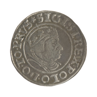 Gdansk grosz, Sigismund I the Old (King of Poland; 1506–1548). Silver coin (grosz). Obverse: