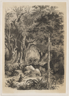 The Interior of the Indian Jungle, EAS (Russian lithographer; fl. ca. 1850–1870). The view shows