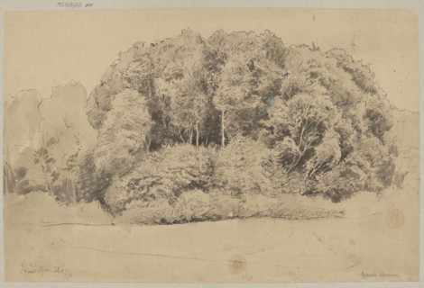 Trees in St. Blasien; Hans Thoma (1839–1924), draughtsman; trees, landscape of St. Blasien