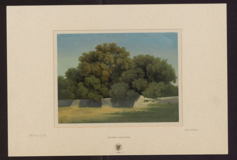 Wall separating a meadow and a clump of trees near Albano; Arthur Blaschnik (1823–1918),