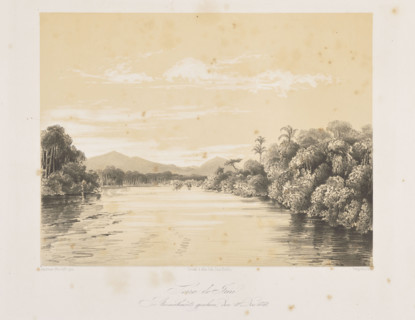 Serra do Iriri looking down the river, 10 December 1842; Tempeltei, Julius Friedrich (1802–1870);