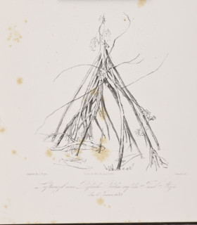1) Tree trunk on the island of Tuaimaiduba, December 30, 1842; 2) Roots of the passuiba palm on the