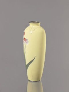 Vase, Ôta, Jinnoei (fl. ca. 1870–1920), Japanese, irises and flowers decoration, Meiji (1868–1912),