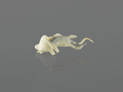 Fish-shaped paperweight; subject: fish; culture: Chinese; period: Qing dynasty (1644–1911), 19th
