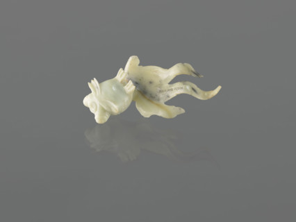 Fish-shaped paperweight; fish motif; Chinese; Qing dynasty (1644–1911); 19th century; decoration;