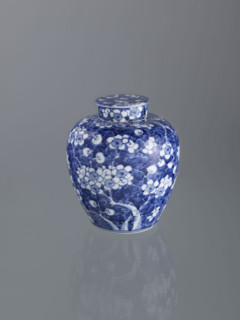 Ginger vessel with lid; Chinese; Qing dynasty (1644–1911); 19th century; spice vessel; decorative