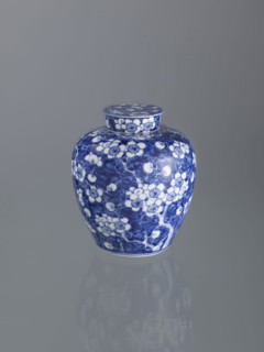 Ginger vessel with lid; Chinese; Qing dynasty (1644–1911); 19th century; spice vessel; decorative
