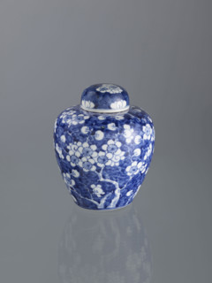 Ginger vessel with lid; Chinese; Qing (1644–1911); spice vessel; decorative vessel; cracked ice