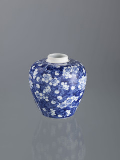 Ginger vessel with lid; Chinese; Qing dynasty (1644–1911); spice vessel; decorative vessel;