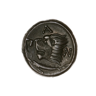 Bronze coin, Pantikapaion; obv.: head of beardless Satyr in ivy wreath facing left; rev.: lion head