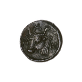 Bronze coin, Pantikapaion; obverse: head of bearded Satyr facing left; reverse: bull head facing