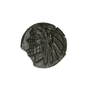 Bronze coin, Pantikapaion; obverse: head of bearded Satyr facing left; reverse: bull head facing