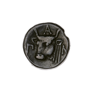 Bronze coin, Pantikapaion; obverse: head of bearded Satyr facing left; reverse: bull head facing
