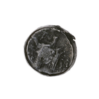 Bronze coin, Pantikapaion; obverse: head of bearded satyr facing left; reverse: bull head facing