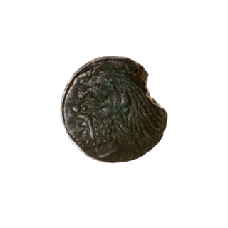 Bronze coin, Pantikapaion; obverse: head of bearded satyr to left; reverse: bull head to left with