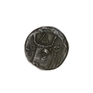 Bronze coin, Pantikapaion; obverse: head of bearded Satyr facing left; reverse: bull's head facing