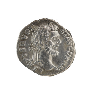 Denarius of Septimius Severus (146–211; Roman emperor 193–211). Obverse: Head of Septimius Severus