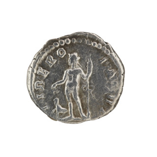 Denarius of Septimius Severus (146–211; Roman emperor 193–211). Obverse: Head of Septimius Severus