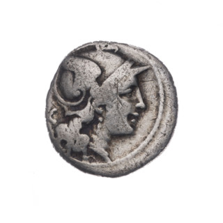denarius, Dioscuri on horses, Dioscuri (mythology), Roma (mythology), horses, helmets, head of