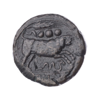 Quarter; obverse: head of Hercules in boar's skin facing right; behind it the value sign ooo.