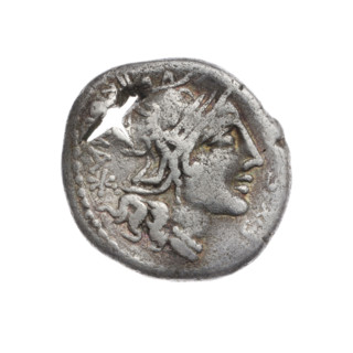 Denarius; M. Sergius Silus (publisher), active 116–115 BC. Obverse: Helmeted head of Roma facing