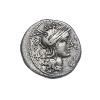 denarius, Sergius Silus, M. (fl. 116–115 BC), publisher; Roma (mythology); horses, helmets, swords,