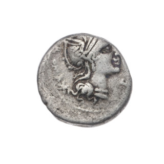 Denarius; Sergius Silus, M. (fl. 116–115 BC), publisher. Obverse: Helmeted head of Roma right;