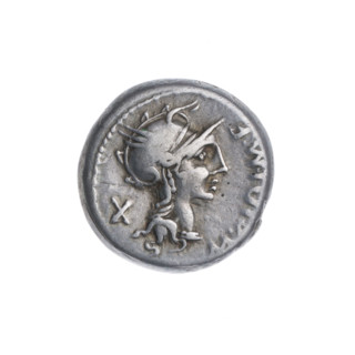 Denarius, M. Cipius (fl. 115–114 BC), publisher. Obverse: head of Roma wearing a helmet facing