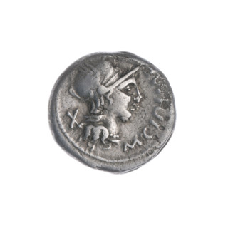 Denarius, Cipius, M. (fl. 115–114 BC), publisher; obverse: head of Roma in a helmet facing right,