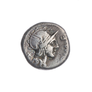 Denarius minted by M. Cipius (fl. 115–114 BC). Obverse: head of Roma wearing a helmet facing right;
