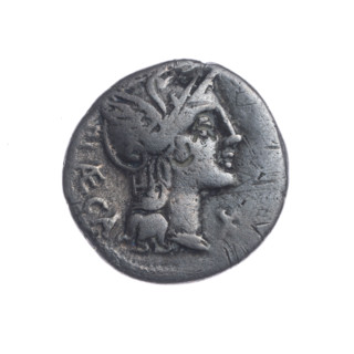 Denarius, Porcius Laeca, P. (fl. 110–109 BC), publisher. Obverse: head of Roma wearing a helmet