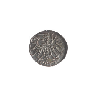Gdansk denarius, Sigismund II Augustus (King of Poland; 1544–1572). Obverse: in the border the